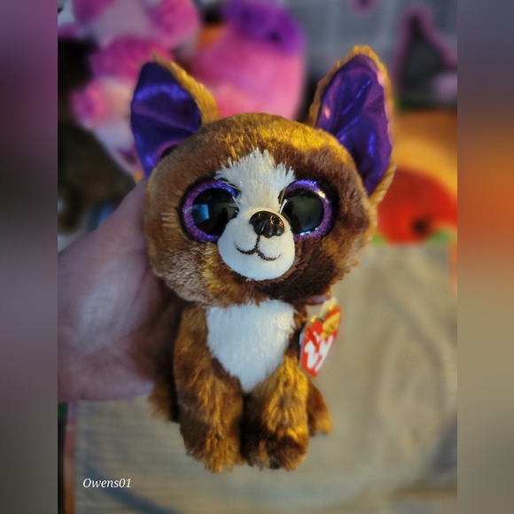 Ty Beanie Baby.....Dexter - Picture 1 of 3